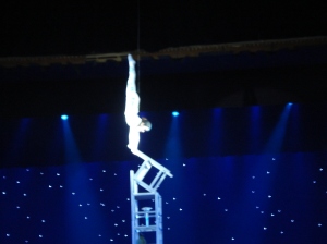 One of the many amazing acts at the Acrobatic display